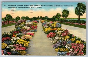 Million Dollar Causeway, Clearwater, Florida FL, Vintage 1953 Linen Postcard