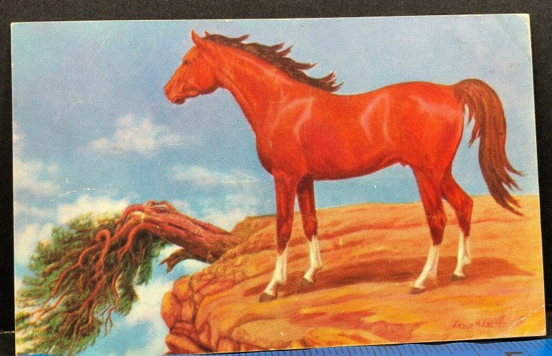 Free to Roam Painting Lewis Larsen Senator Utah 1952 Vintage Postcard 