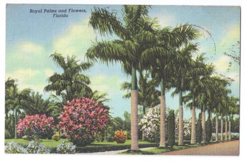 Royal Palms and Flowers Florida Curteich Linen 1949