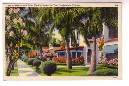 Lovely Homes and Palm Shaded Street, Fort Lauderdale, Florida,