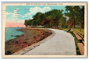 1927 View In Seaside Park Benches Pathways Bridgeport Connecticut CT Postcard 