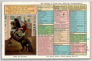 Ride'em Cowboy Busy Persons Correspondence Hegns Fam of Sisseton SD Postcard R29