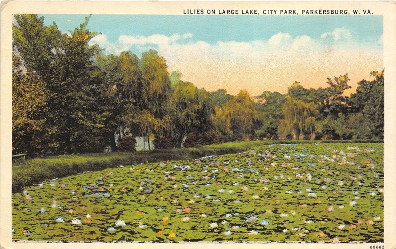 Parkersburg West Virginia 1920s Postcard Lilies On Large Lake City Park