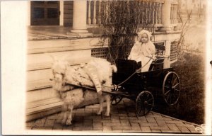 Real Photo Postcard Child in Goat Pulled Studebaker Wagon La Junta Colorado