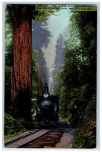 View Of Big Tree Station Coast Line Of Southern Pacific Santa Cruz CA Postcard