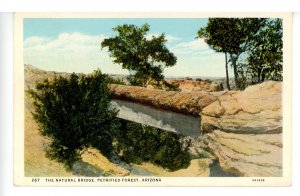 AZ - Petrified Forest. The Natural Bridge