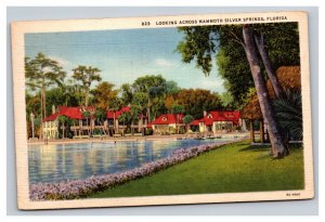 Vintage 1935 Postcard Looking Across Mammoth Silver Springs, Florida