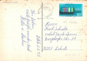 US4686 Germany Lueneburger Heide Sheep Animaux paturage