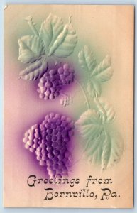 1910 Bernville Pennsylvania Vintage Postcard Greetings Grapes Airbrush Embossed