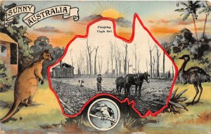 br104514 ploughing virgin soil sunny australia kangaroo