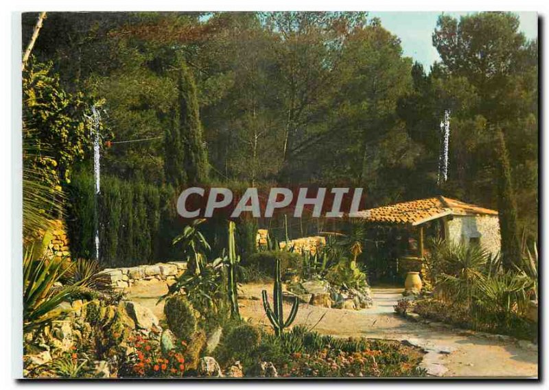 Postcard Modern Exotic Garden Sanary Bandol A piece of rock