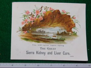 1870s-80s Sierra Chemical Co Kidney & Liver Cure Pond Victorian Trade Card #R