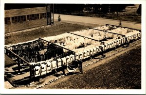 RPPC Postcard Farragut Naval Training Station ID - Wash Day Company Clothes Line