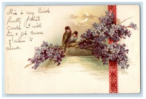 1903 Two Birds Half Moon Sea and Flower, Lakeport CA PMC Posted Postcard