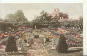 Middlesex Postcard - Hampton Court Palace - The Dutch Gardens - Ref TZ7596