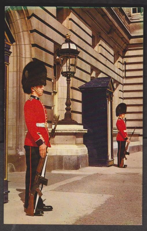 Irish Guards - Sentries At Buckingham Palace, London - Unused