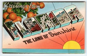 Greetings From Florida Land of Sunshine Large Letter Linen Postcard Unposted