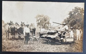 Mint USA Real Picture Postcard Horse agricultural Tool
