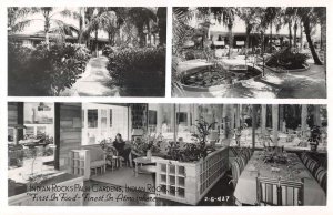 Indian Rocks Beach Florida Palm Gardens Dining Room Real Photo PC AA21788