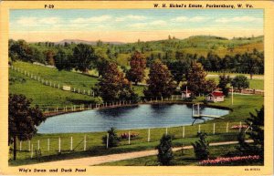 Parkersburg, WV West Virginia  WH BICKEL'S ESTATE Wig's Swan~Duck Pond Postcard