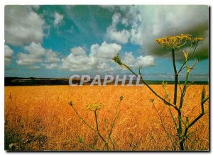 Postcard Modern Belle Isle in Morbihan Sea