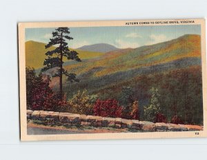 Postcard Autumn Comes To Skyline Drive Virginia USA