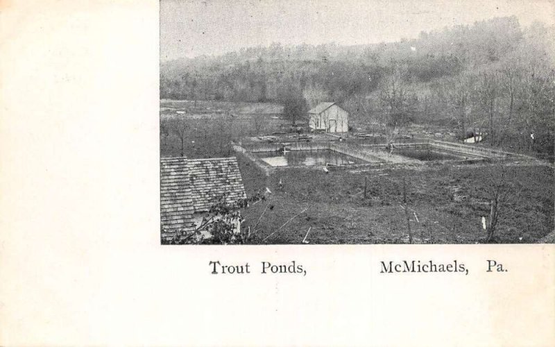 McMichaels Pennsylvania Trout Ponds Vintage Postcard AA82809