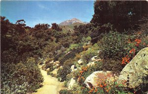 Lot225 santa barbara botanic garden campbell trail california usa