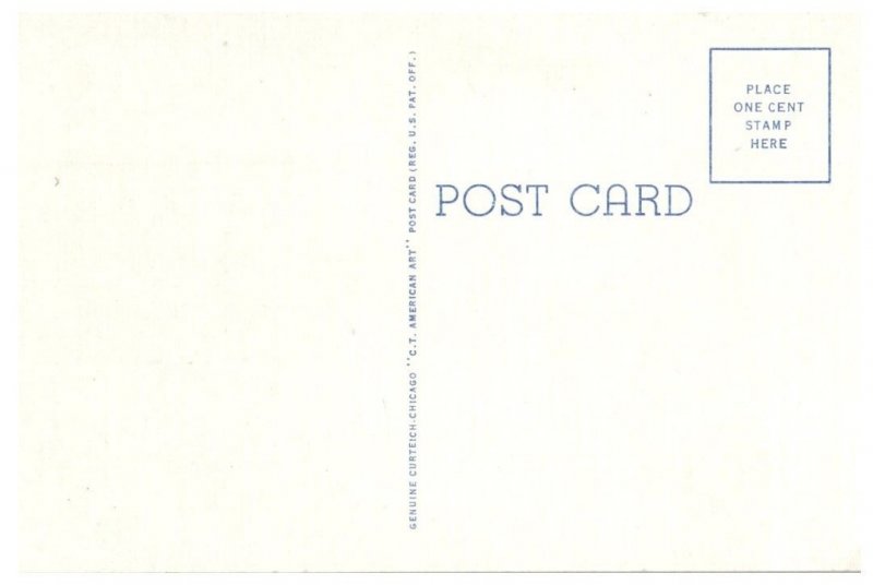 Belleview Artesian Well No 2 Sulphur Oklahoma Postcard