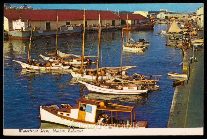 Waterfront Scene- Nassau, Bahamas