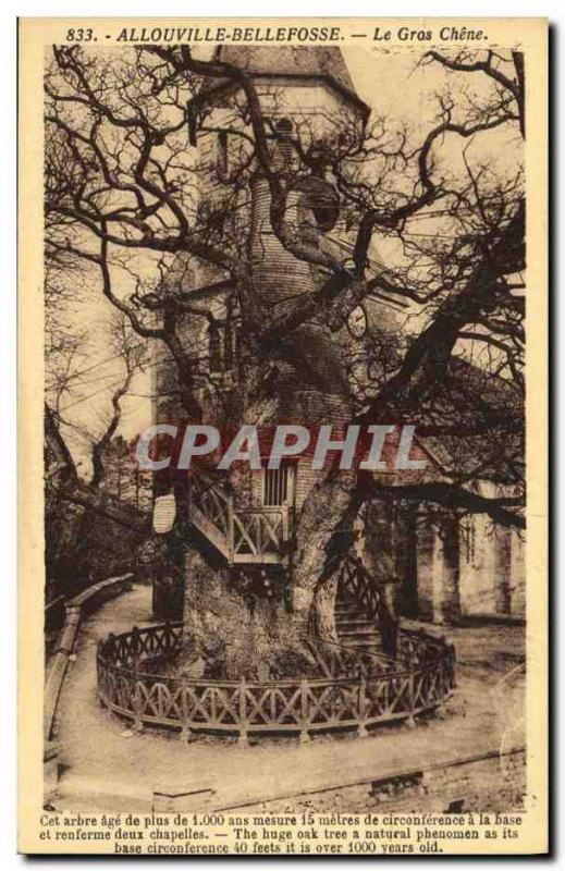 Old Postcard Allouville Bellefosse Le Gros Chene Tree