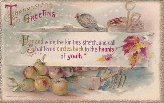 Winsch Thanksgiving Greetings Garden Tools &  Turkey 1910