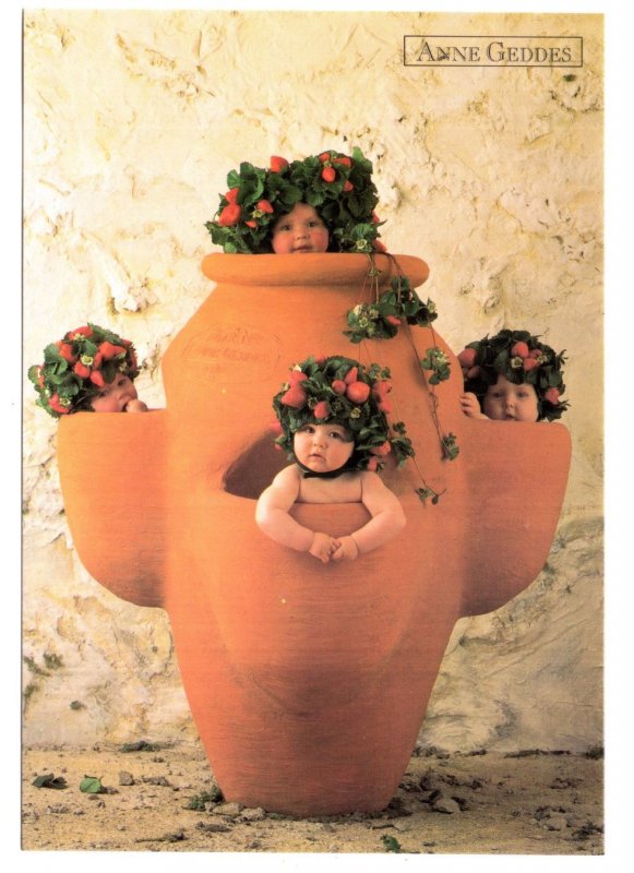 Anne Geddes, 1997  Photo Four Strawberry Babies in Flower Pot