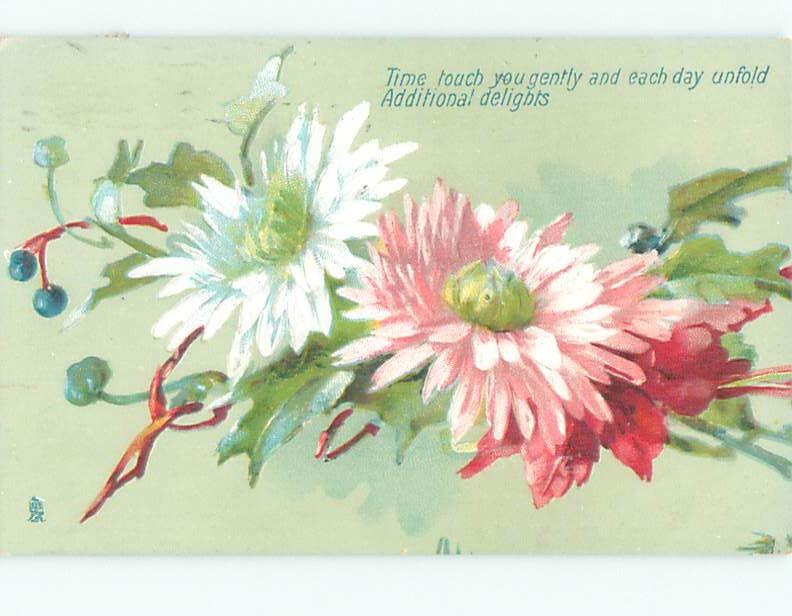 Divided-Back BEAUTIFUL FLOWERS SCENE Great Postcard AA2303