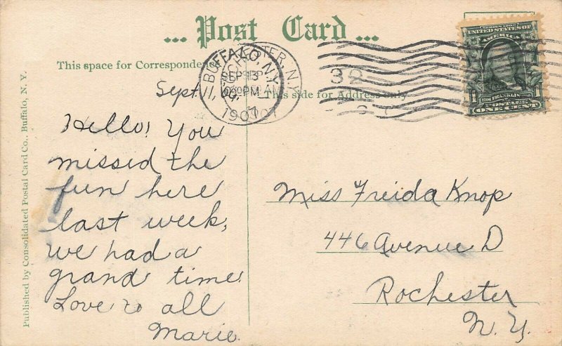 LP06  Buffalo New York NY Comic Postcard 