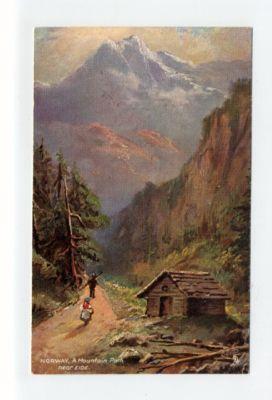 ar1776 - Norway - near Eide -  art Tucks - postcard