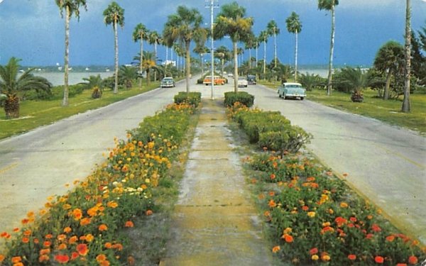 Flowerlined Causeway, Clearwater, Clearwater Beach Misc, Florida