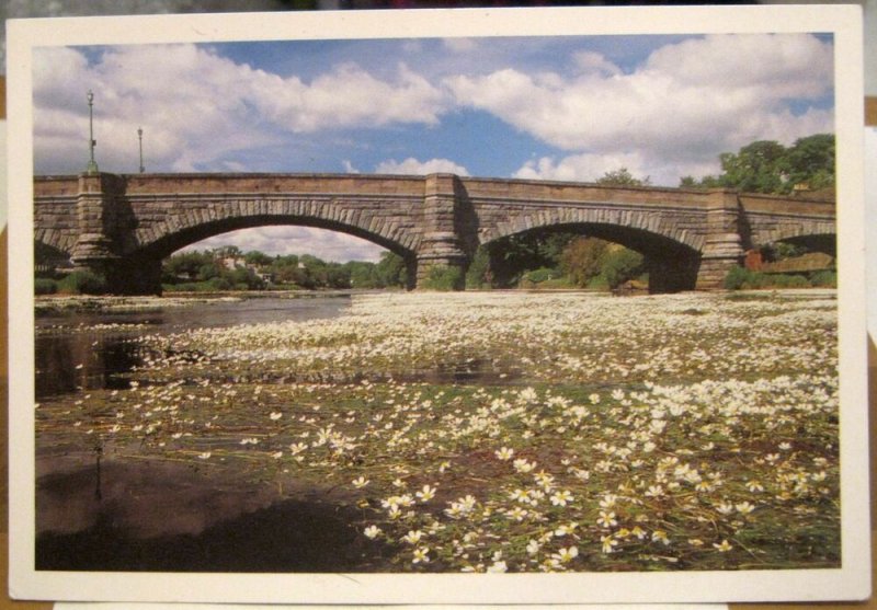 Scotland Creebridge at Newton Stewart - posted 1993