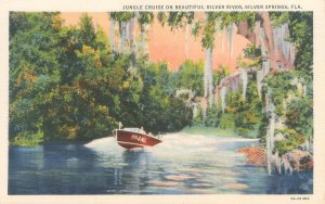 Silver Springs Florida Glass Jungle Cruise Boat Linen Postcard Unused
