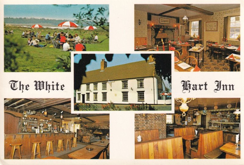 The White Hart Inn Halesworth Norfolk Postcard