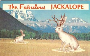 1960's The Fabulous Jackalope Plastichrome Chrome Postcard