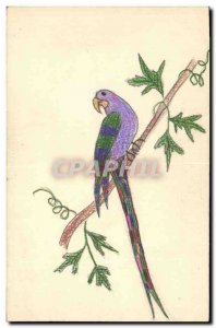 Old Postcard Fancy (drawing hand) Bird Parrot Parrot