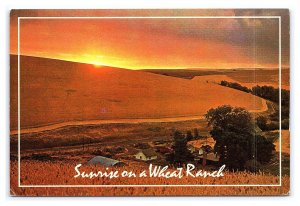 Sunrise On A Wheat Ranch Palouse Wheat Country Idaho Continental View Postcard