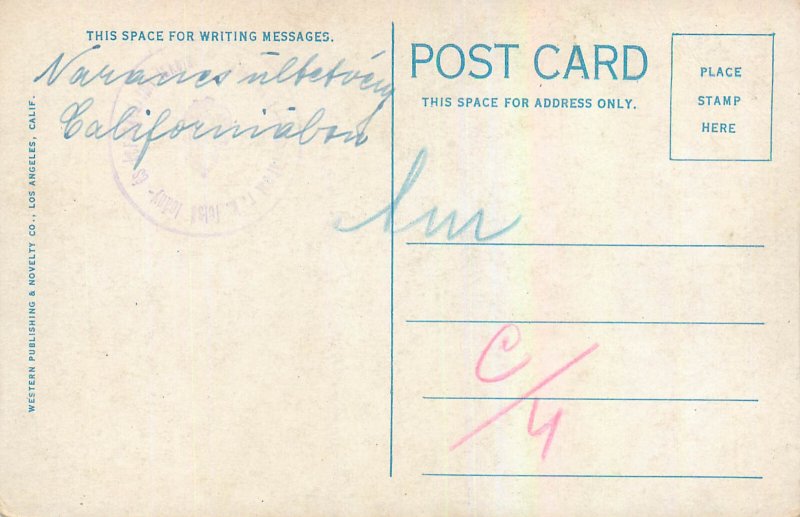 An Orange Grove near the Foothills, California scenic vintage postcard