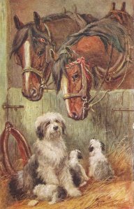 Nora Drummond. Horses and dogs Tuck Oilette Faithful Friends Ser. PC # 3297