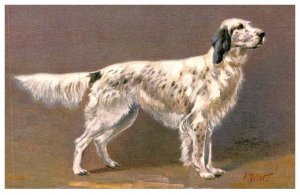 Dog , English Setter , Artist Signed