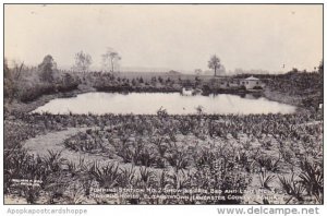 Pumping Station No2 Showing Iris Bed And Lake No3 Masonic Homes Elizabethtown...