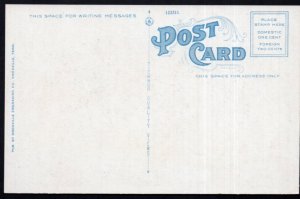 Tennessee BRISTOL High School - White Border