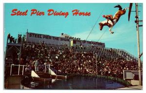 1968 Steel Pier Diving Horse, Atlantic City, NJ Postcard
