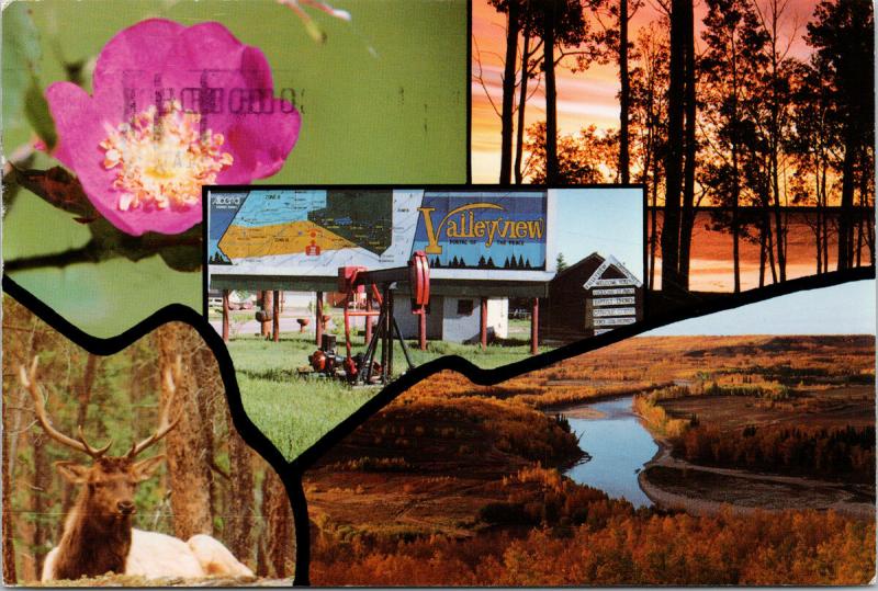 Valleyview Alberta AB Sturgeon Lake Sunset Wild Rose Little Smoky Postcard D55